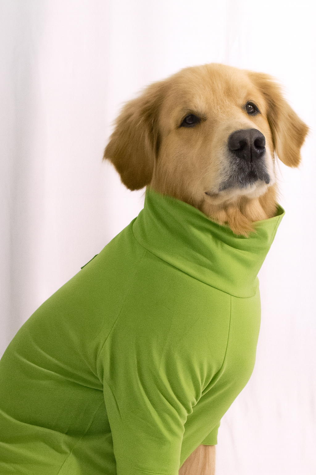 Bamboo Green Long Neck T-shirt for Dogs and Cats
