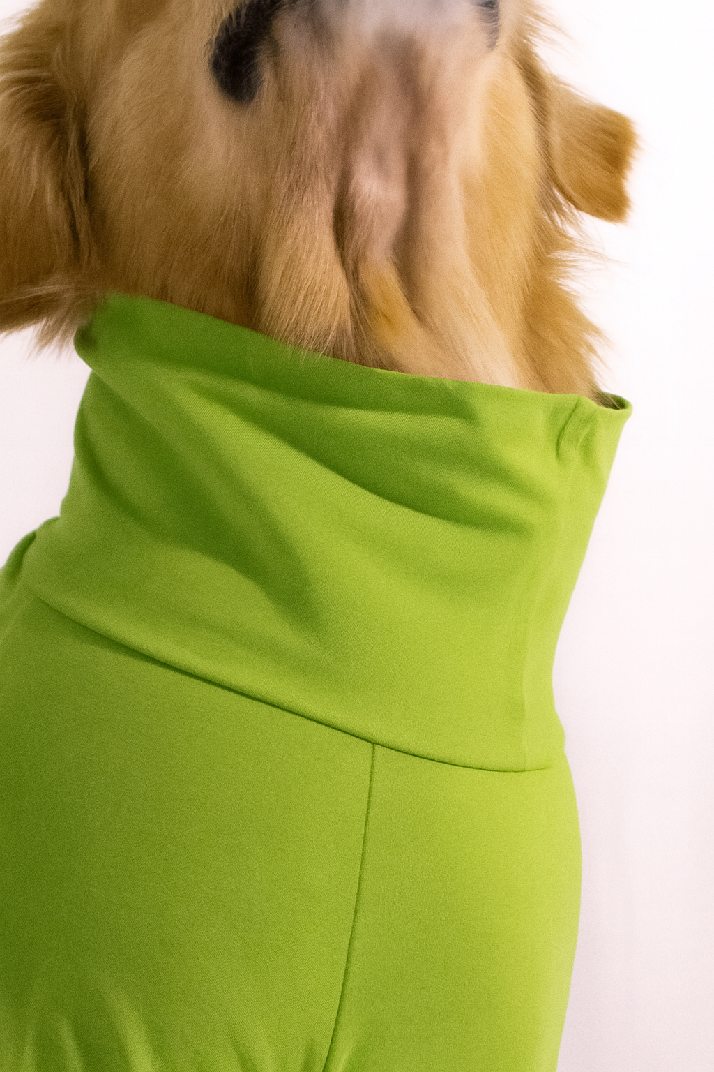 Bamboo Green Long Neck T-shirt for Dogs and Cats