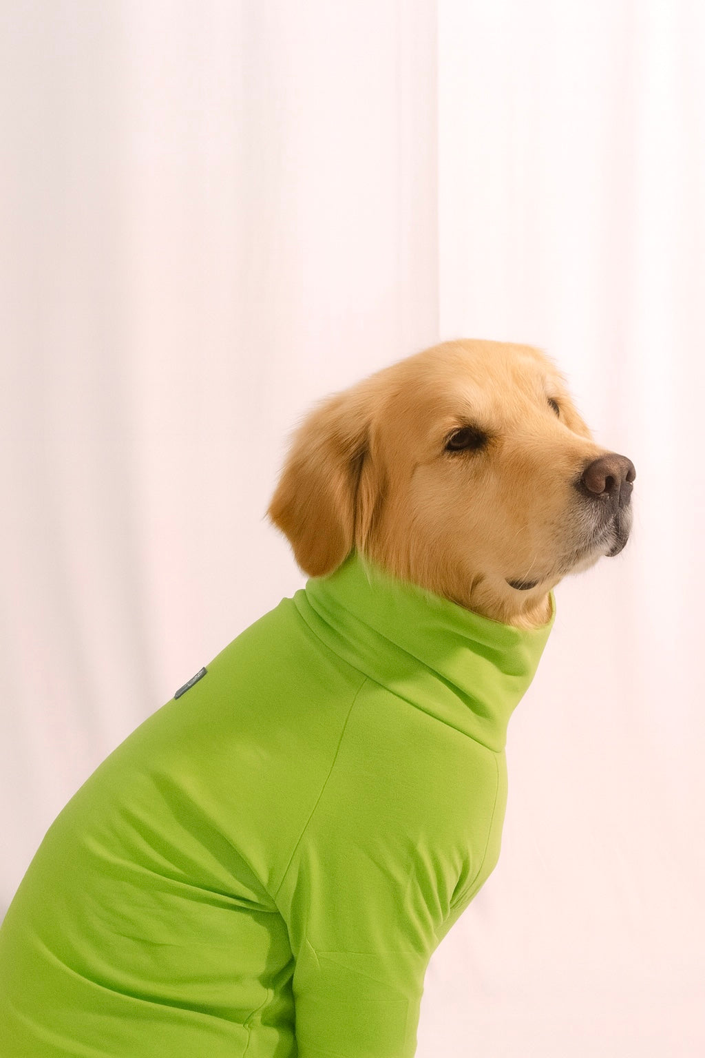 Bamboo Green Long Neck T-shirt for Dogs and Cats