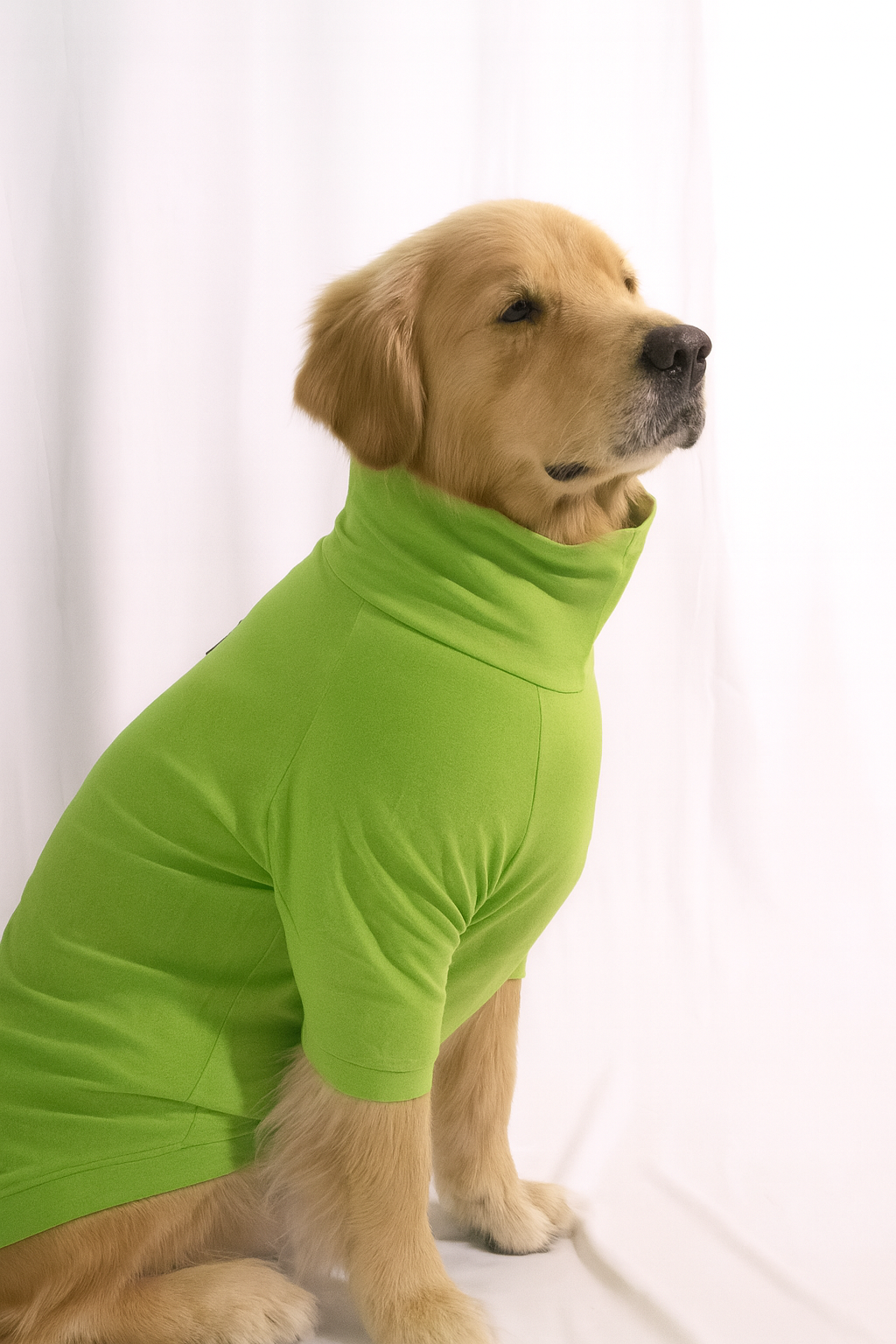 Bamboo Green Long Neck T-shirt for Dogs and Cats