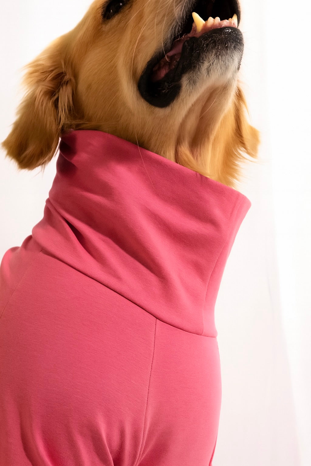 Blush Pink Long Neck T-shirt for Dogs and Cats