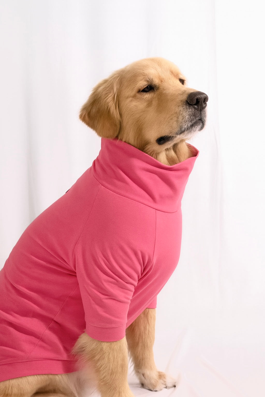 Blush Pink Long Neck T-shirt for Dogs and Cats