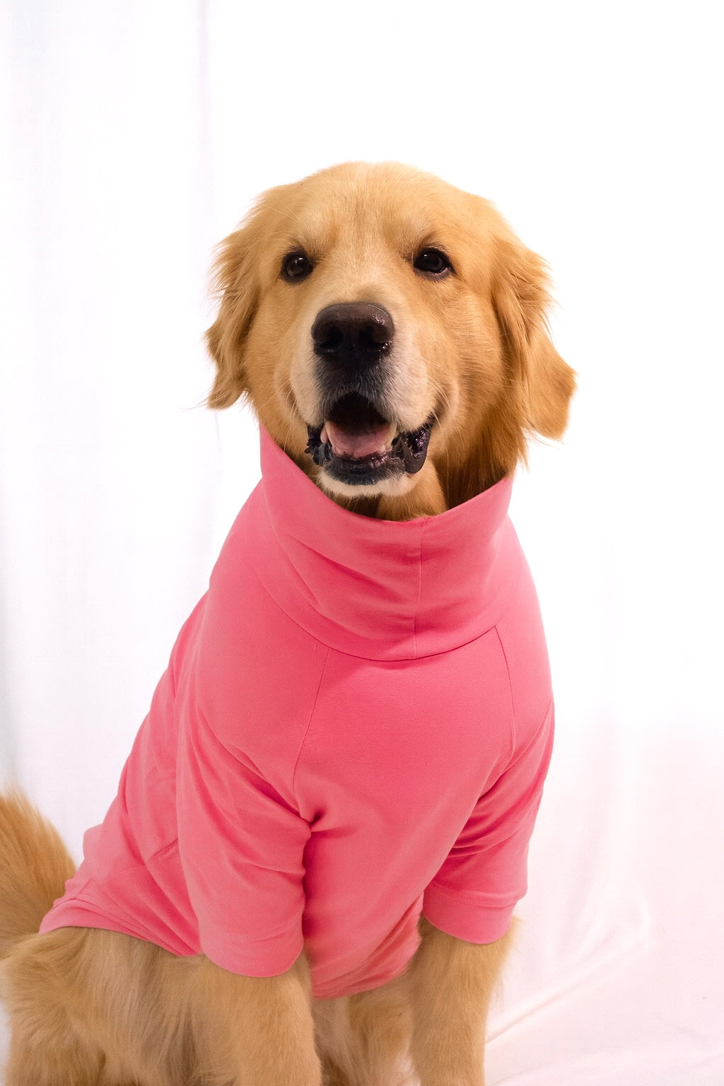 Blush Pink Long Neck T-shirt for Dogs and Cats