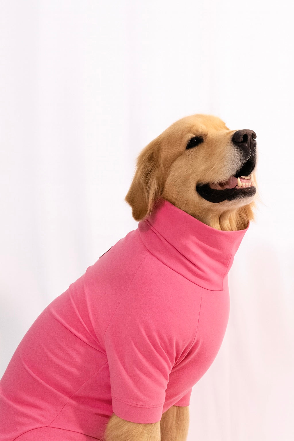 Blush Pink Long Neck T-shirt for Dogs and Cats