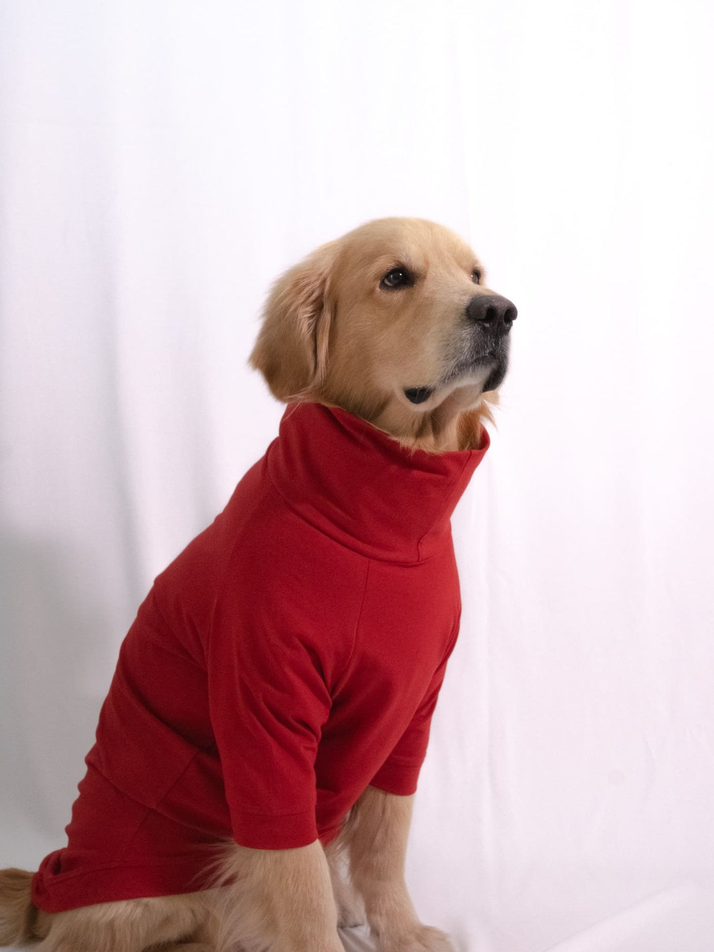 Cherry Red Turtleneck T-shirt