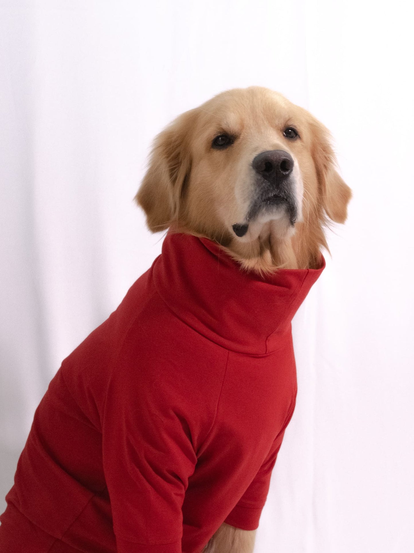 Cherry Red Turtleneck T-shirt
