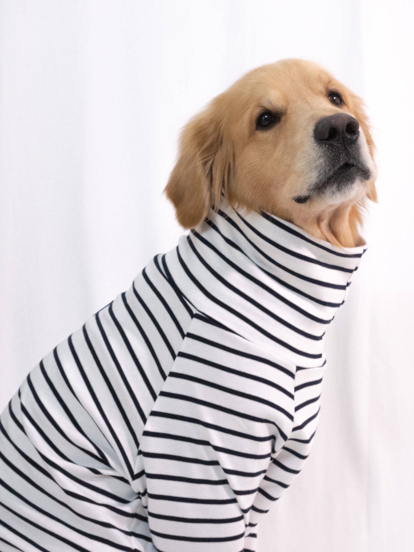 Deep Indigo Long Sleeve Turtleneck