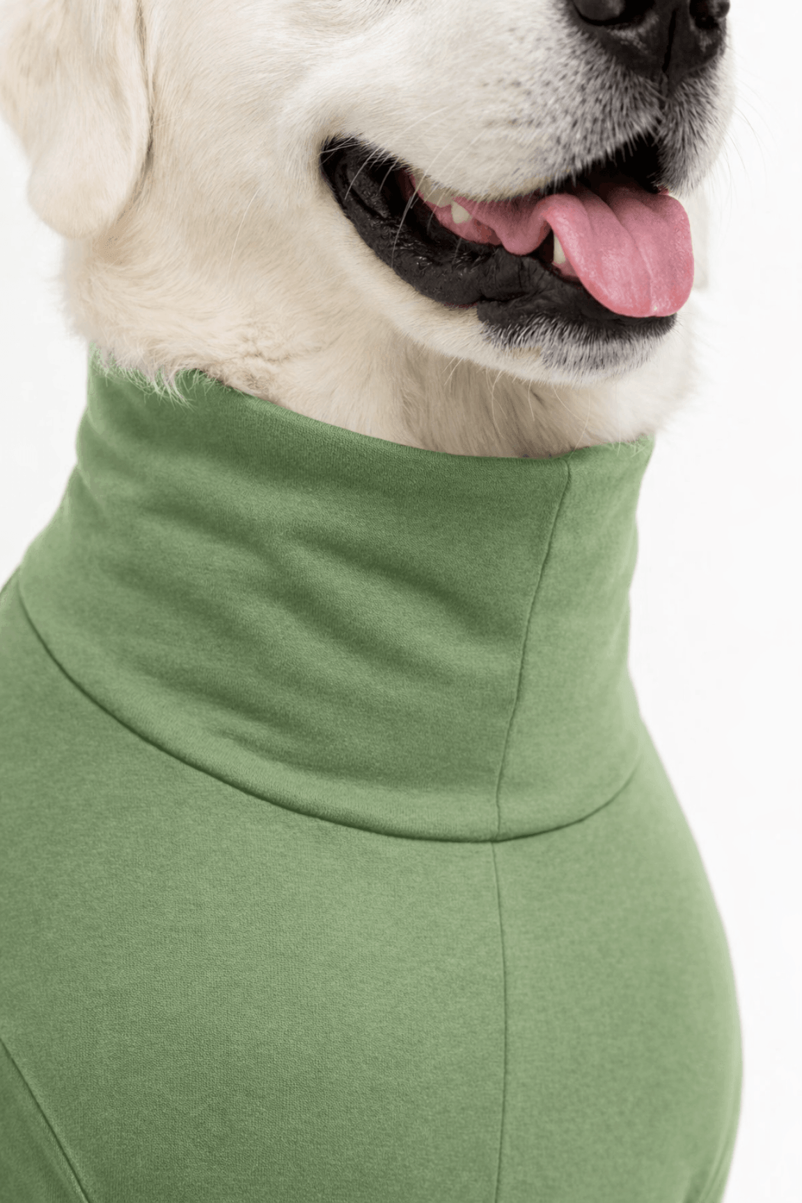 Meadow Green Long Neck T-shirt