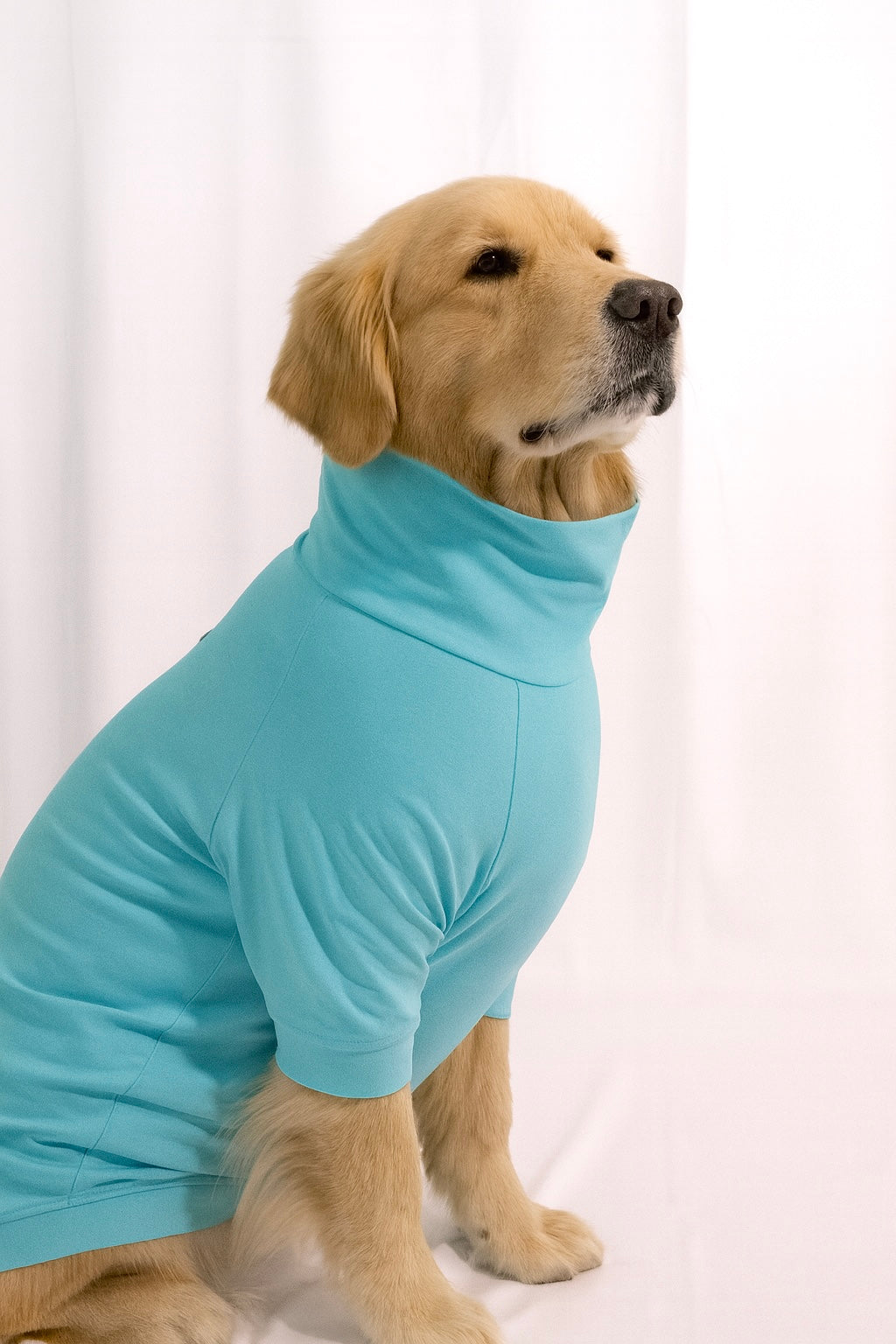 Icy Aqua Long Neck T-shirt for Dogs and Cats