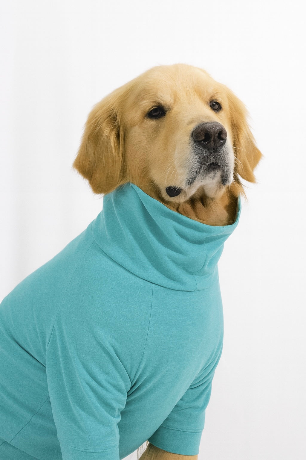Icy Aqua Long Neck T-shirt for Dogs and Cats