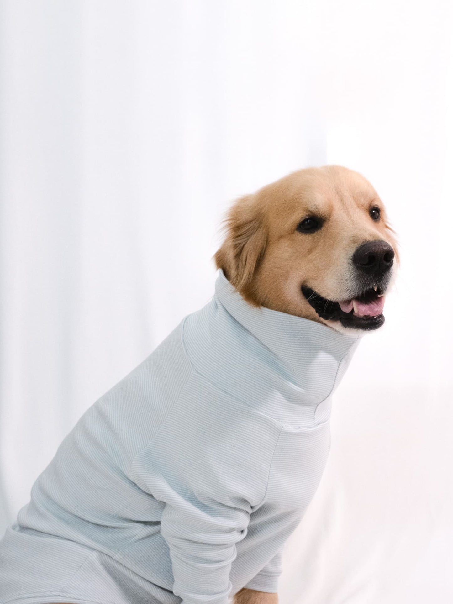 Serene Teal Long Sleeve Turtleneck