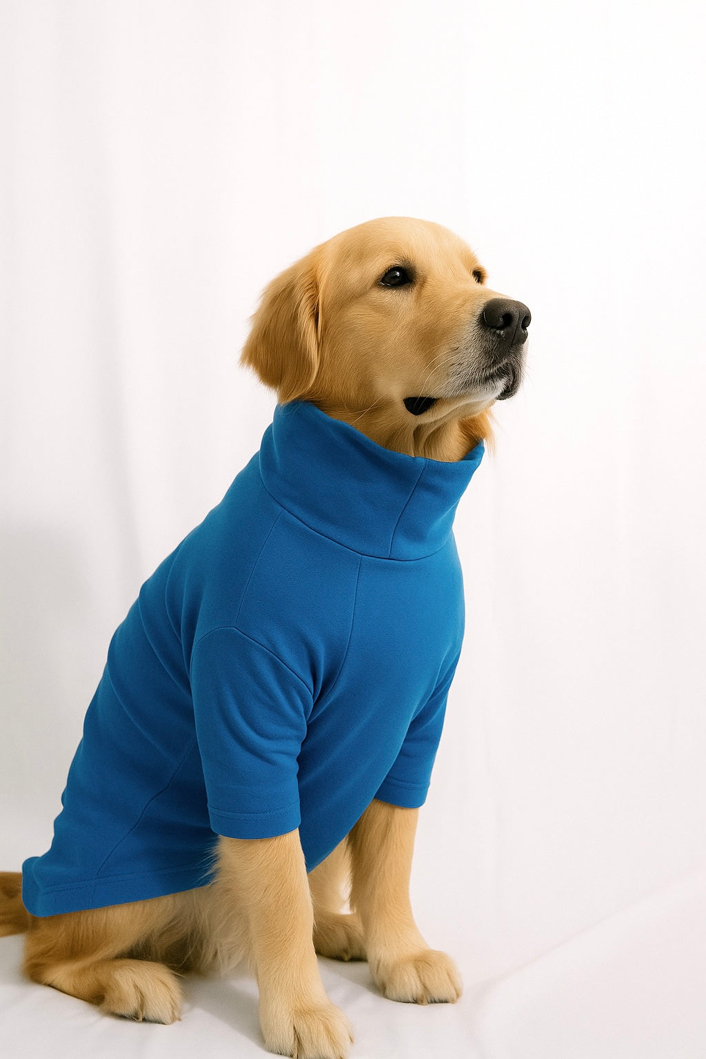 Sky Blue Long Neck T-shirt for Dogs and Cats