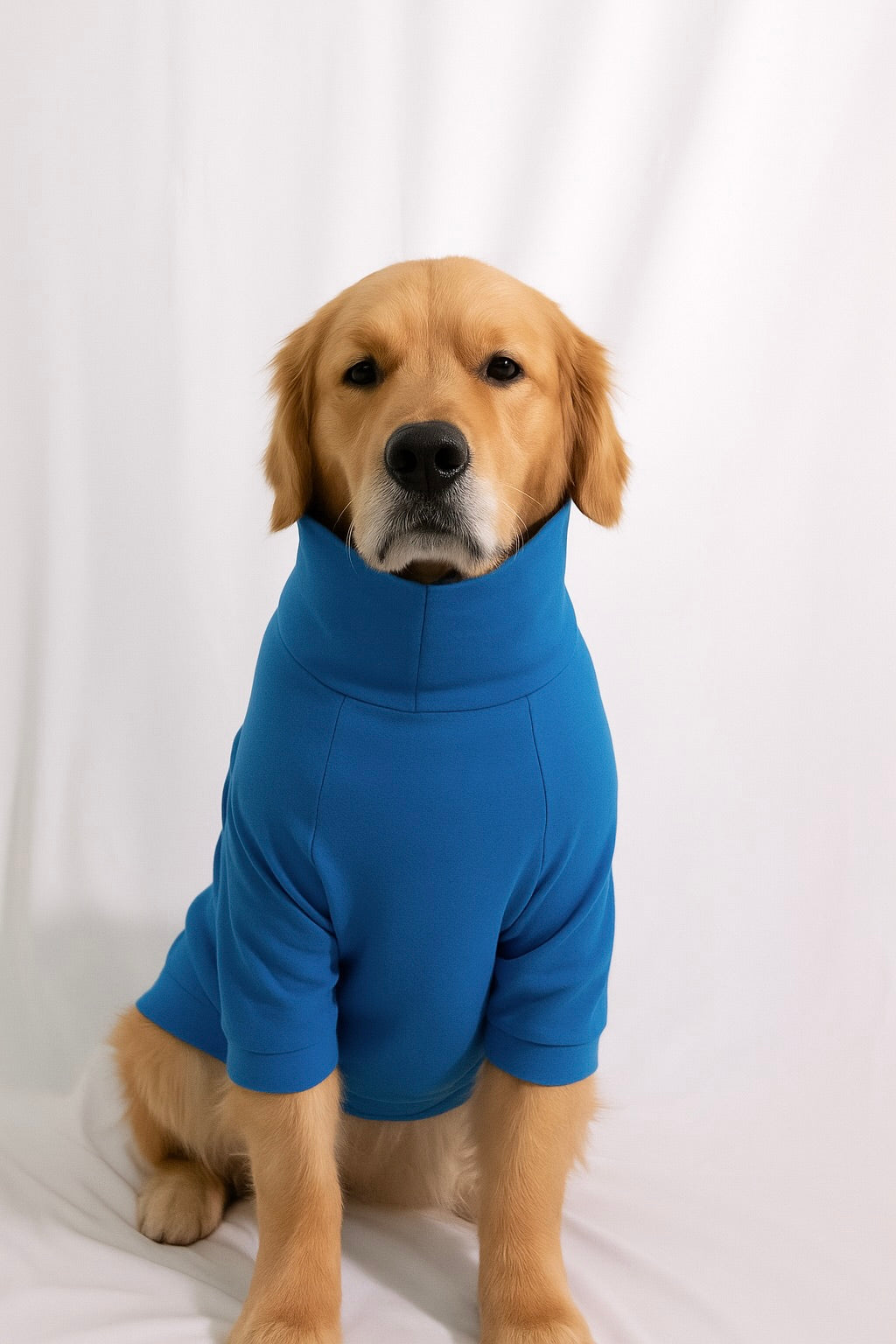 Sky Blue Long Neck T-shirt for Dogs and Cats