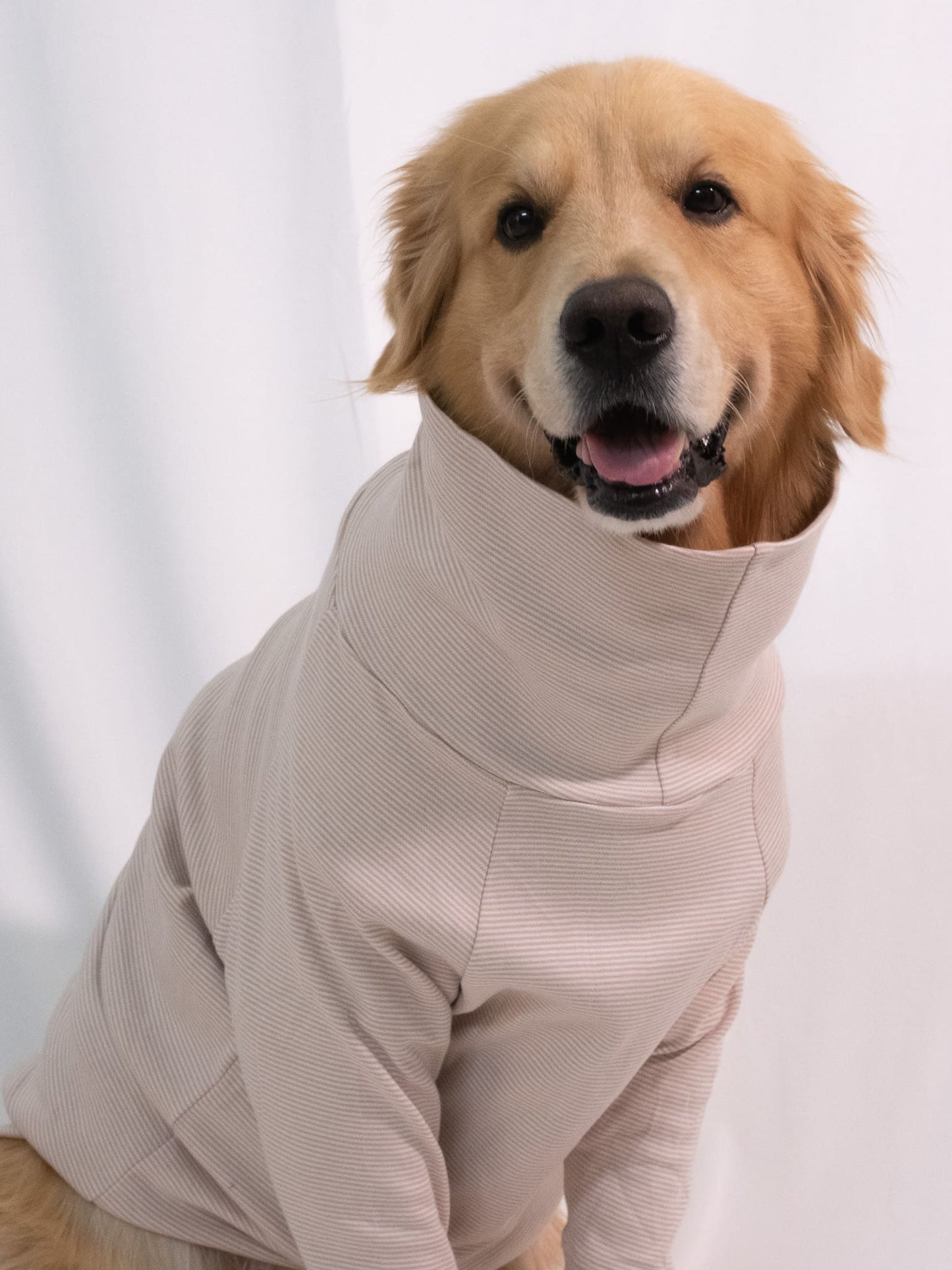 Soft Clay Long Sleeve Turtleneck