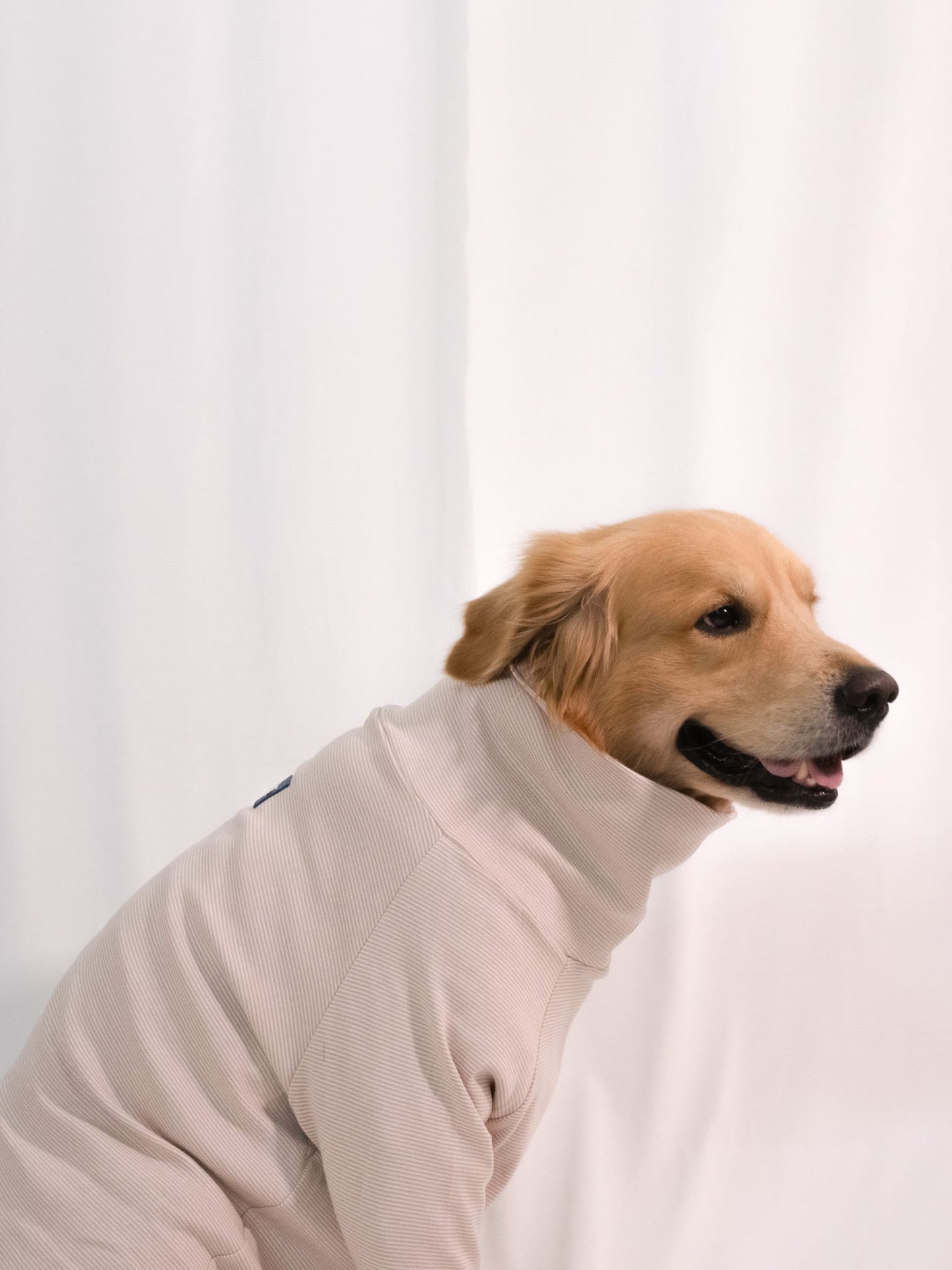 Soft Clay Long Sleeve Turtleneck