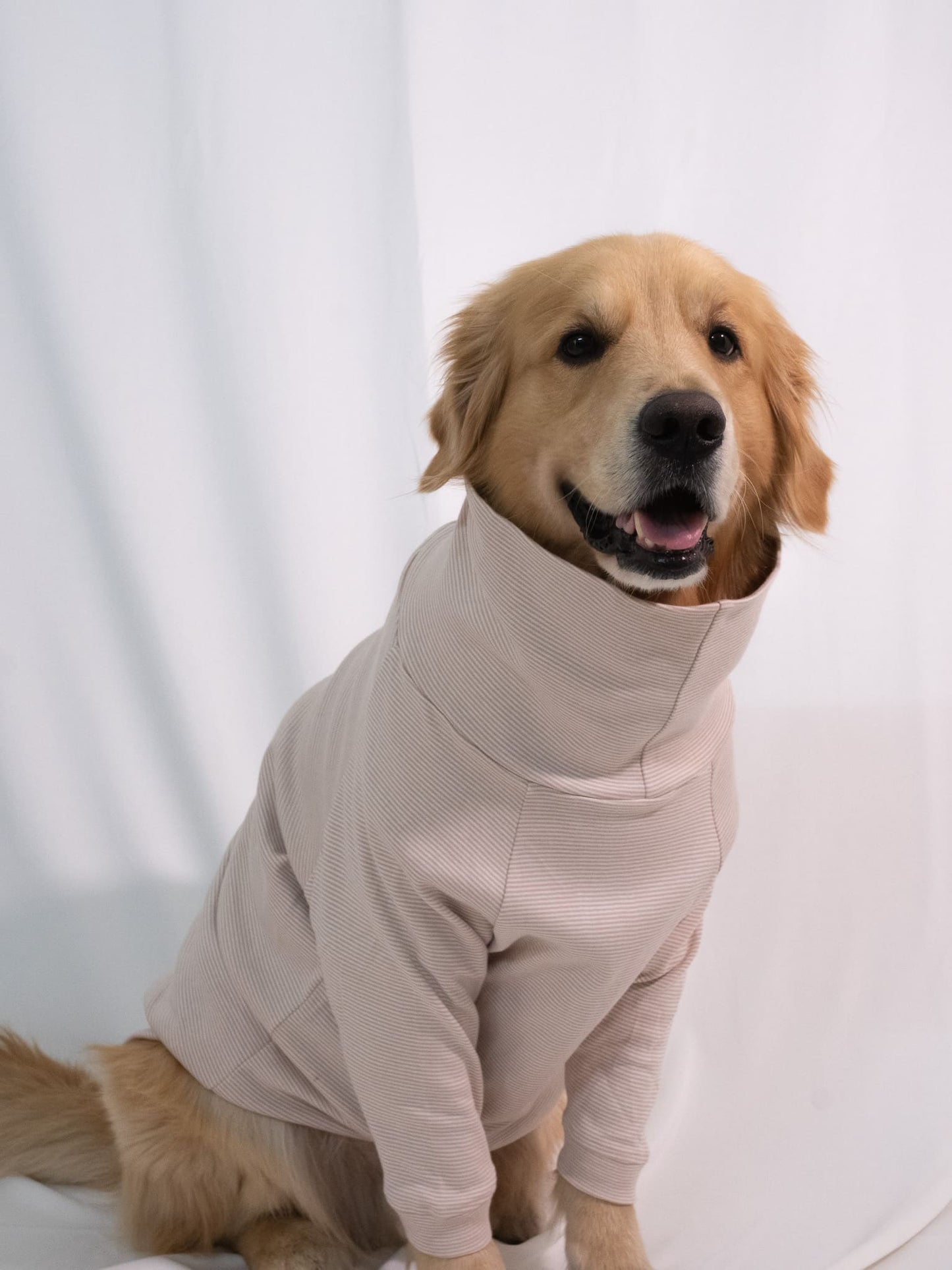Soft Clay Long Sleeve Turtleneck