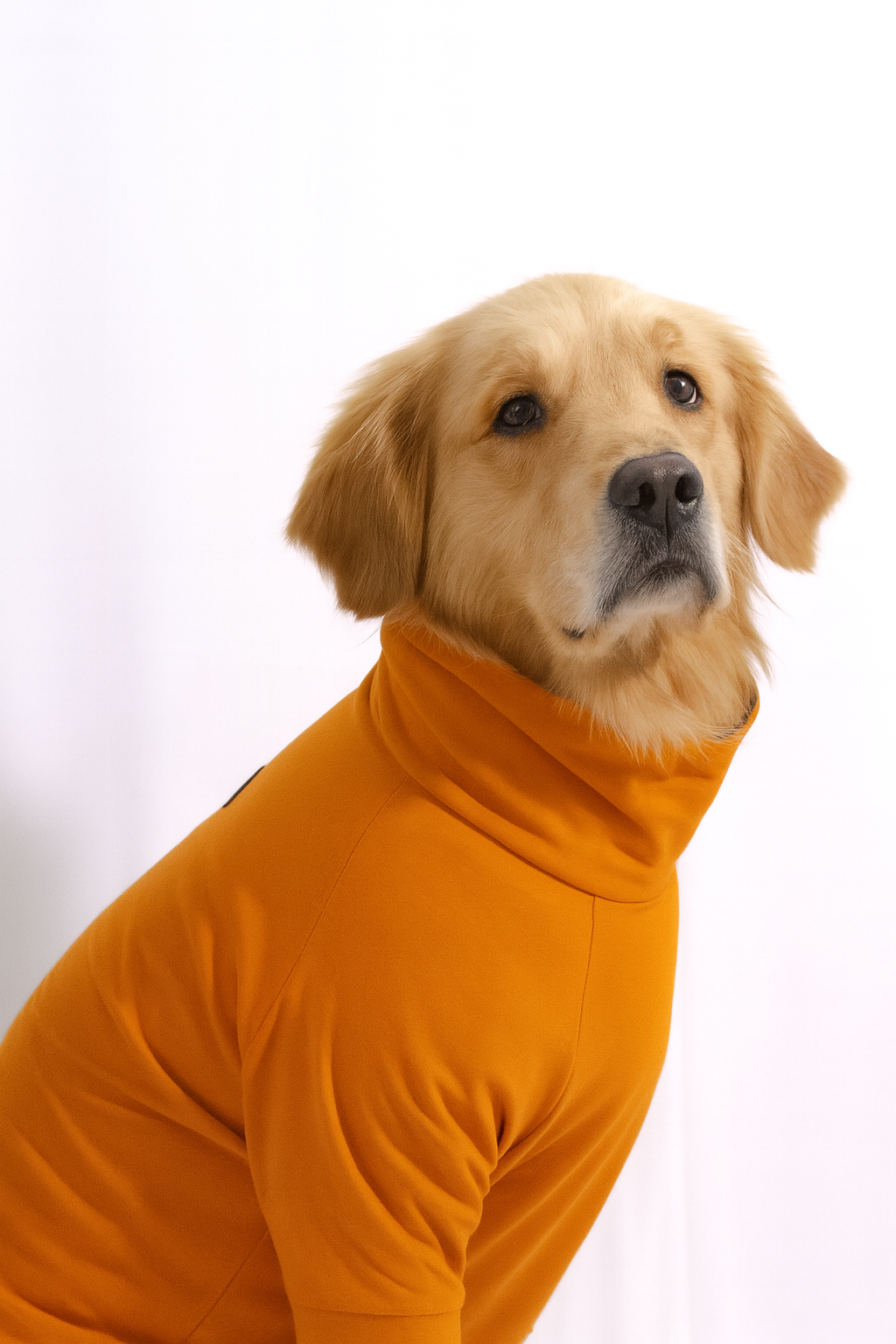 Sunset Orange Long Neck T-shirt for Dogs and Cats