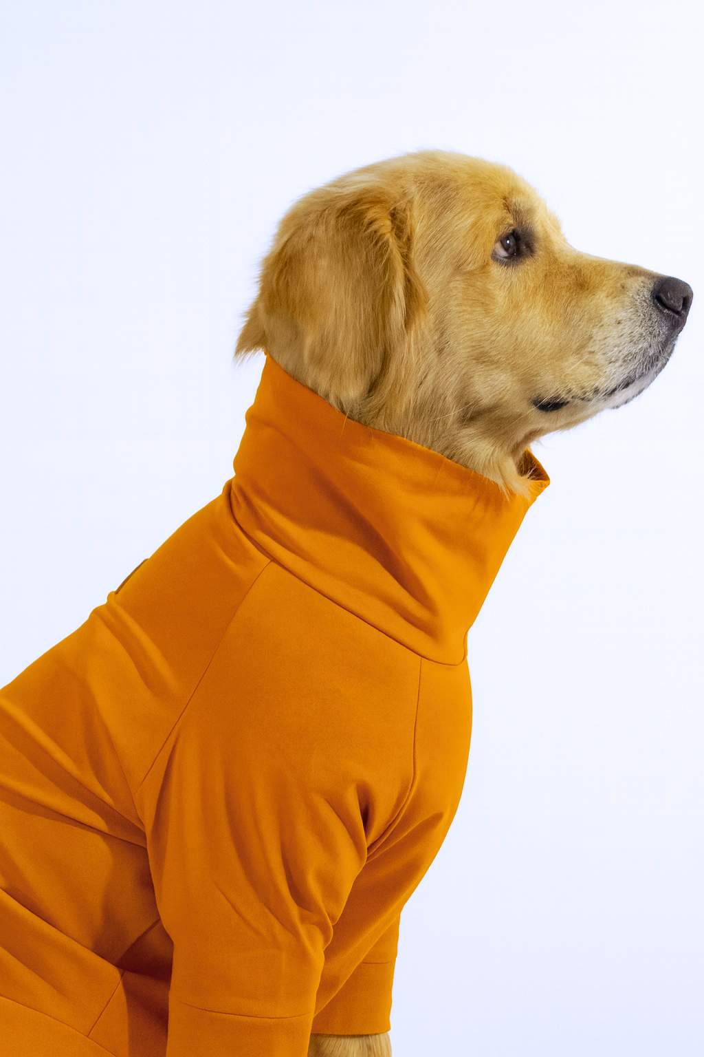 Sunset Orange Long Neck T-shirt for Dogs and Cats