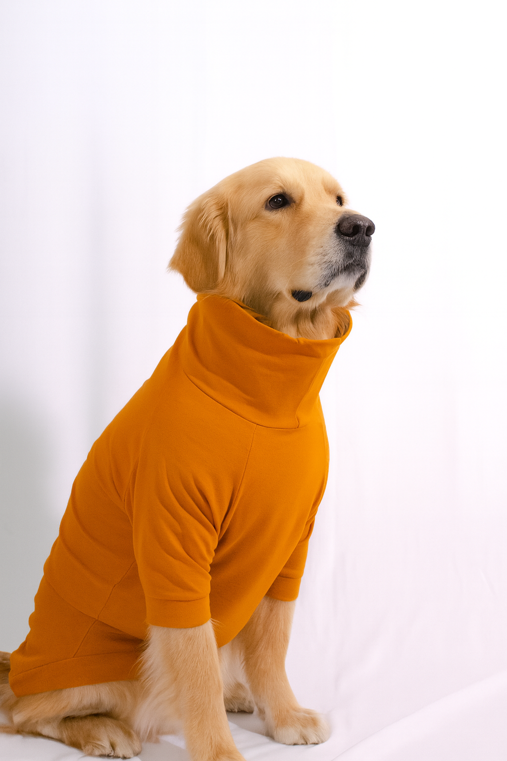 Sunset Orange Long Neck T-shirt for Dogs and Cats