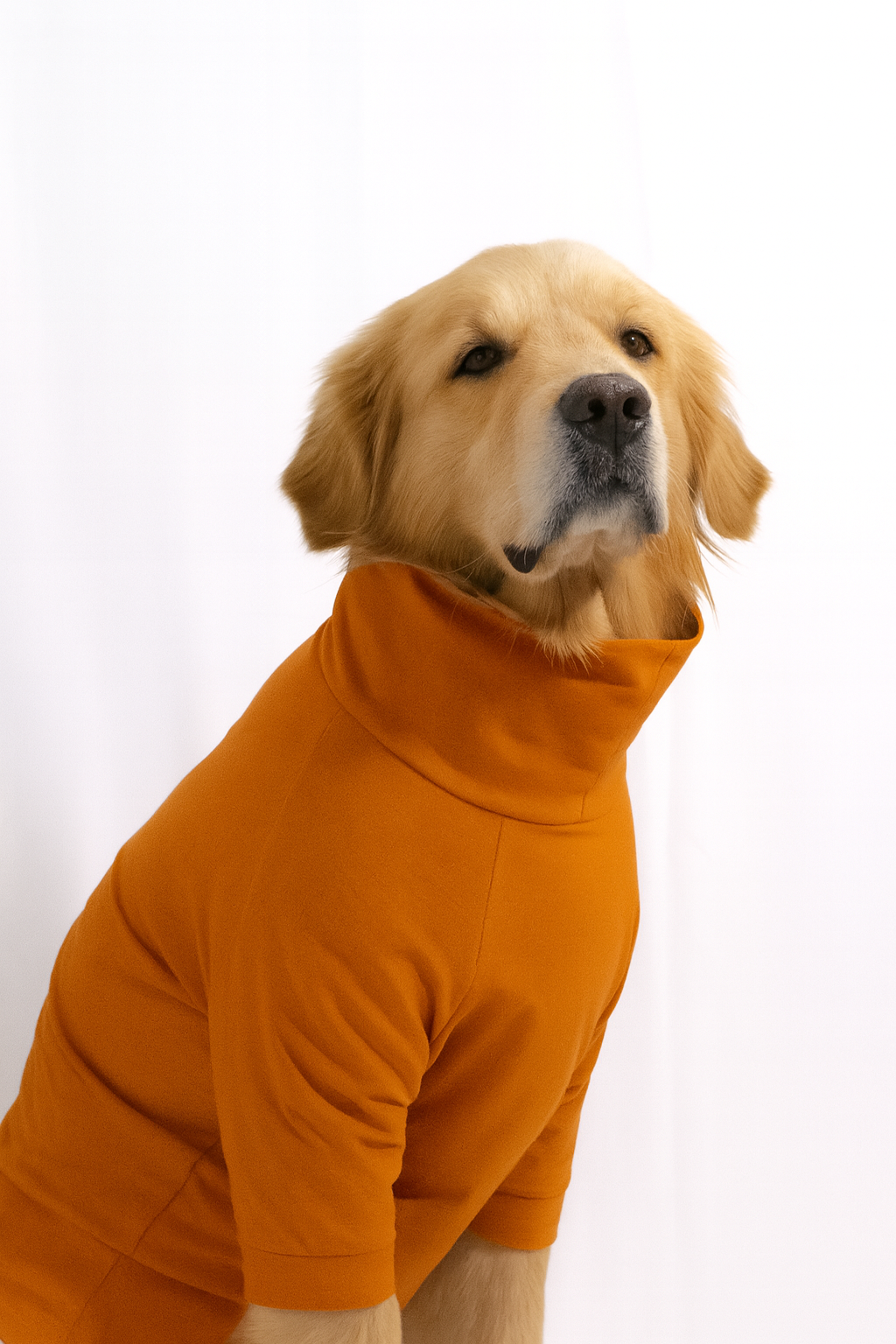 Sunset Orange Long Neck T-shirt for Dogs and Cats