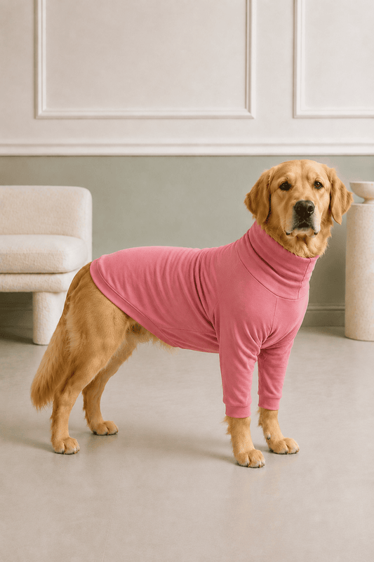 Blush Pink Long Neck T-shirt