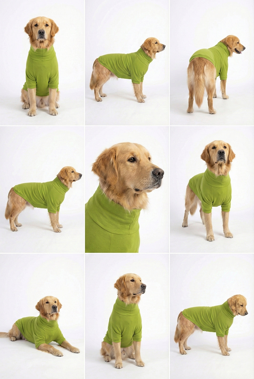 Bamboo Green Long Neck T-shirt - image 6