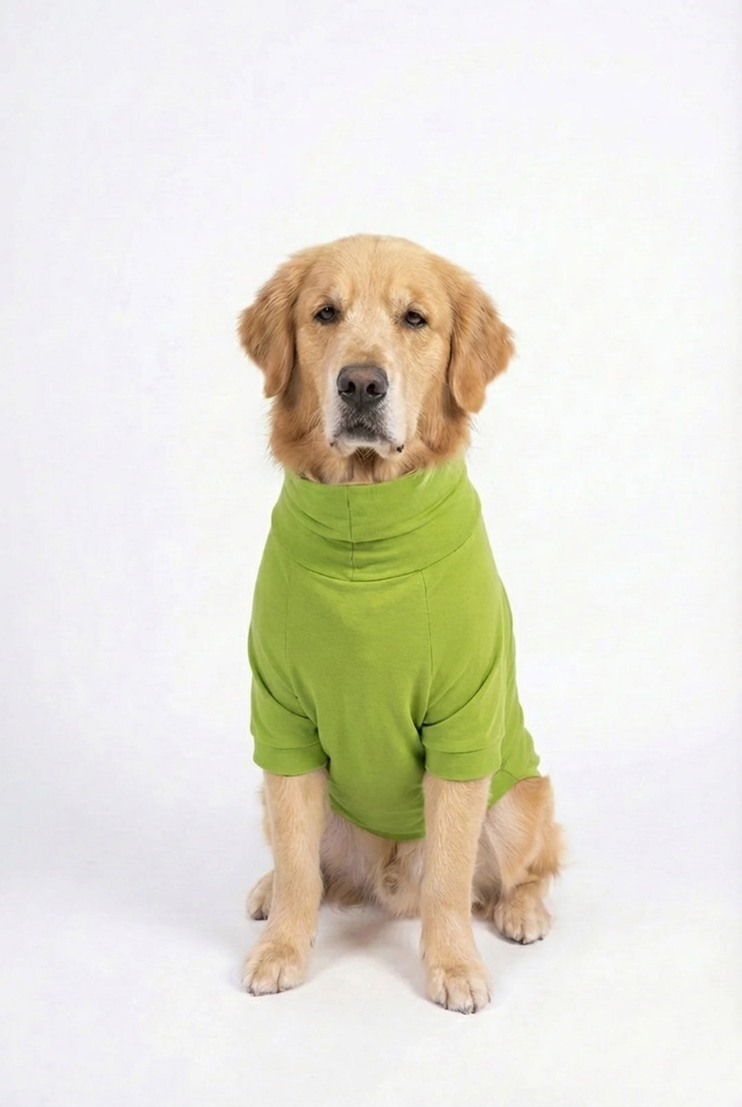 Bamboo Green Long Neck T-shirt for Dogs and Cats