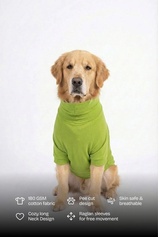 Bamboo Green Long Neck T-shirt