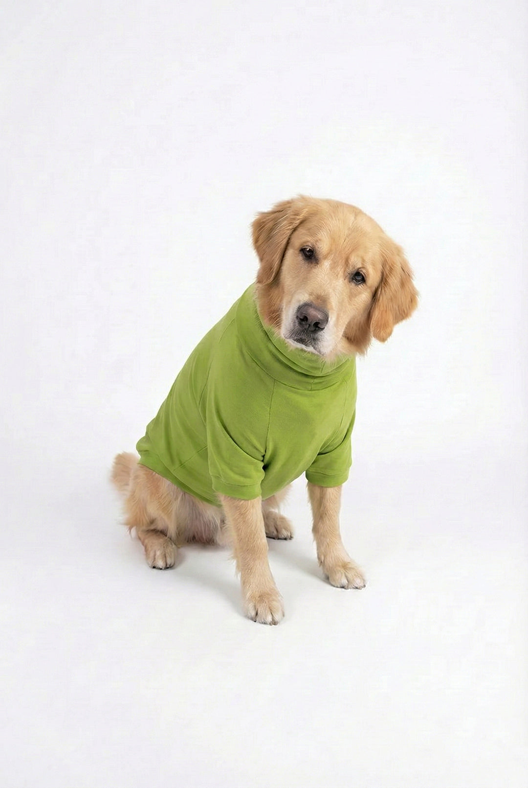 Bamboo Green Long Neck T-shirt for Dogs and Cats