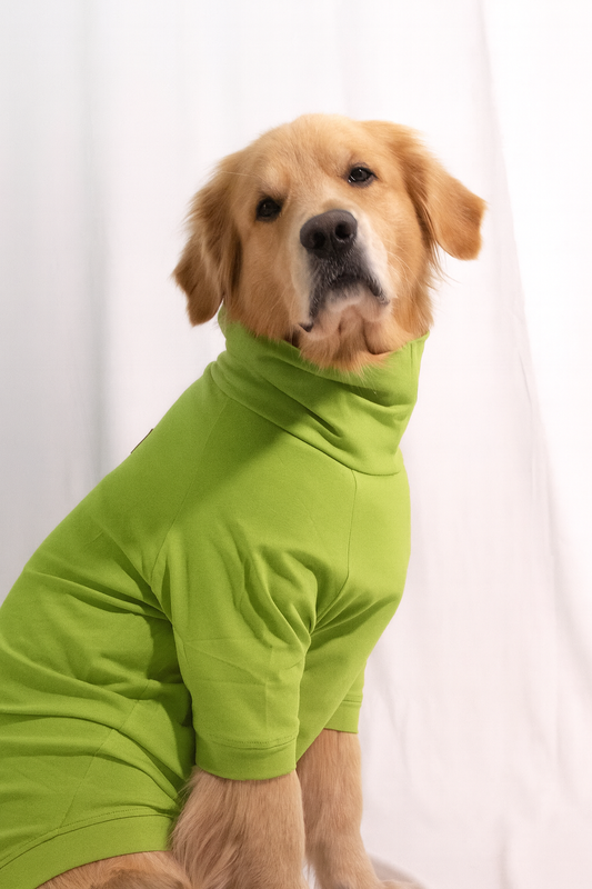 Bamboo Green Long Neck T-shirt for Dogs and Cats
