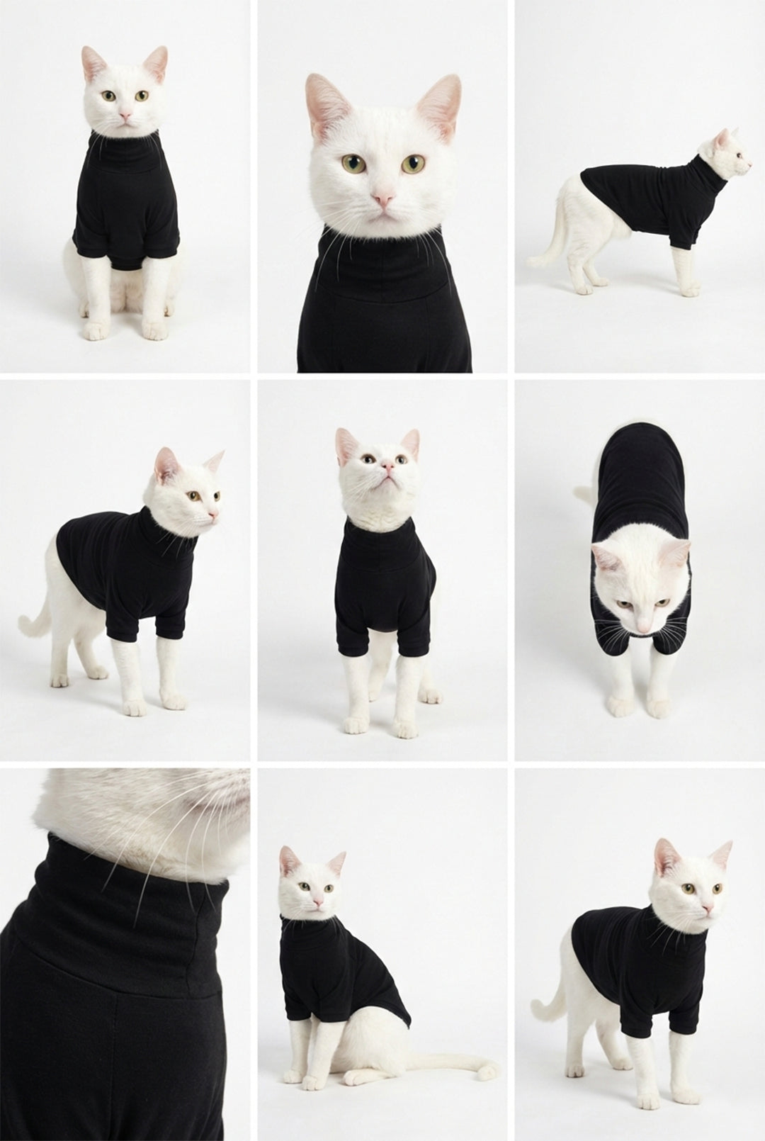 Midnight Black Long Neck T-shirt