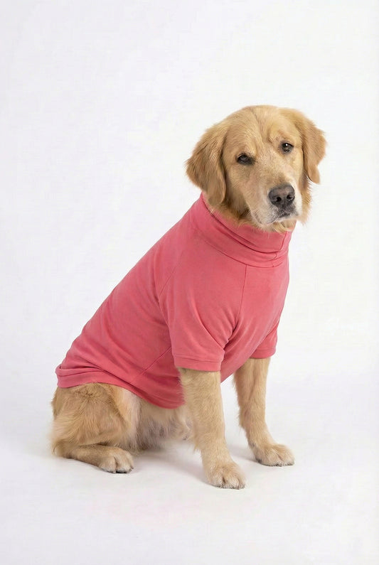 Blush Pink Long Neck T-shirt