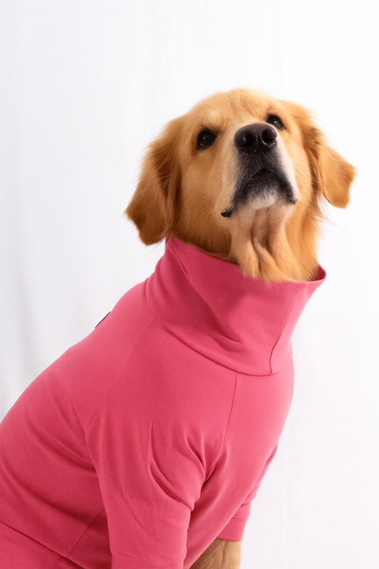 Blush Pink Long Neck T-shirt for Dogs and Cats