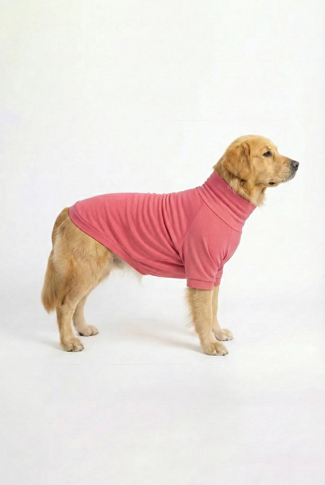 Dog wearing a blush pink Furrocio long neck t-shirt in soft cotton-spandex, showing the stretchable, comfortable fit.