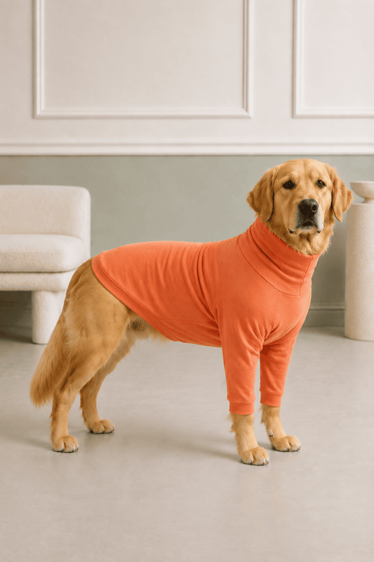 Coral Peach Long Neck T-shirt