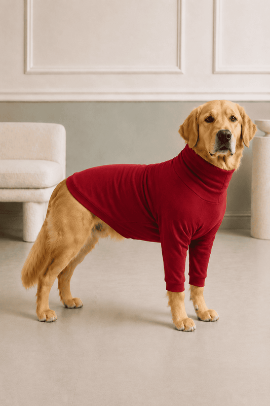 Cherry Red Long Neck T-shirt