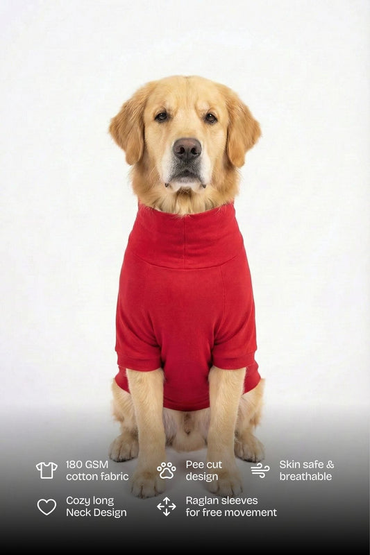 Cherry Red Long Neck T-shirt