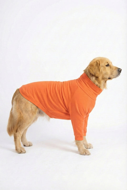 Golden retriever wearing a coral peach, cotton-spandex turtleneck t-shirt, showcasing its comfort and stretchable fit.