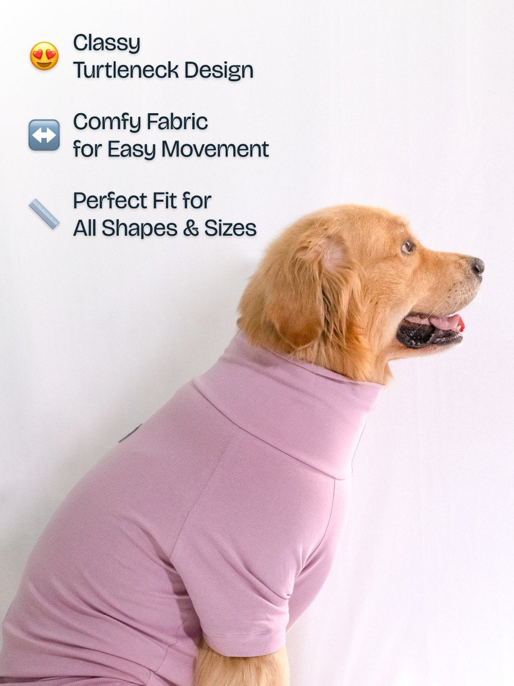 Golden retriever wearing a cozy lavender cotton stretchable turtleneck t-shirt, exuding stylish sophistication and comfort.