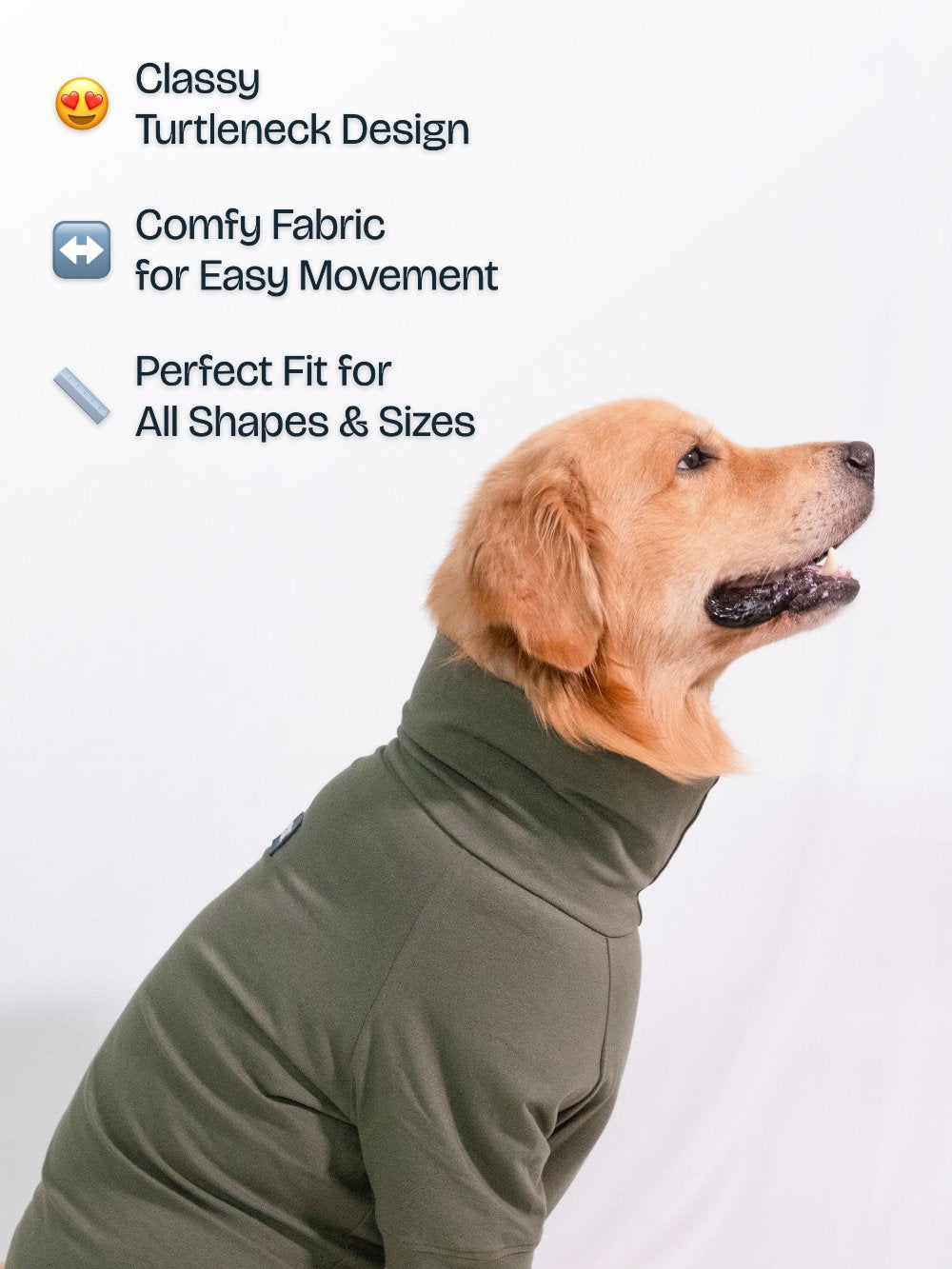 Golden retriever wearing a forest green cotton stretchable turtleneck t-shirt, exuding stylish sophistication and comfort.