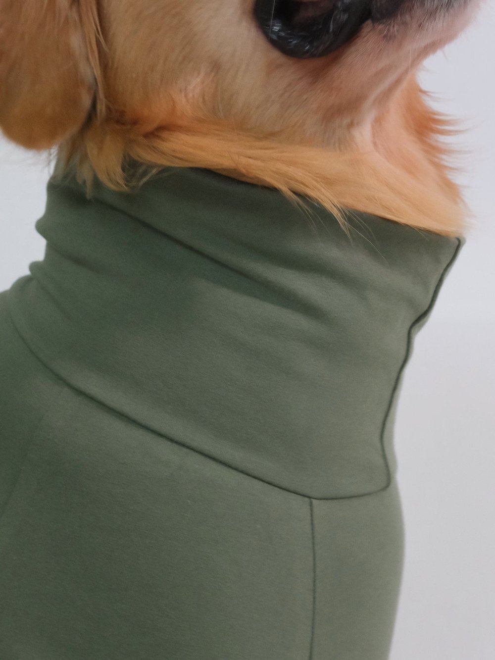 Golden retriever in forest green turtleneck t-shirt, showcasing stylish cotton-spandex blend, perfect for comfortable and stretchable pet wear.