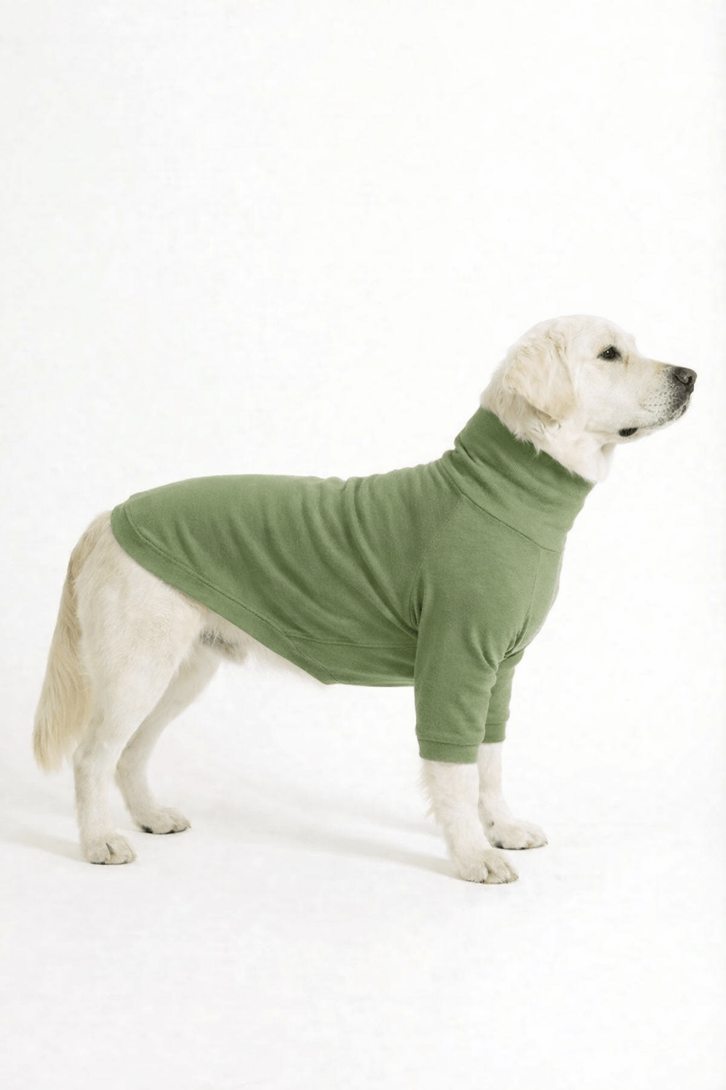 Meadow Green Long Neck T-shirt
