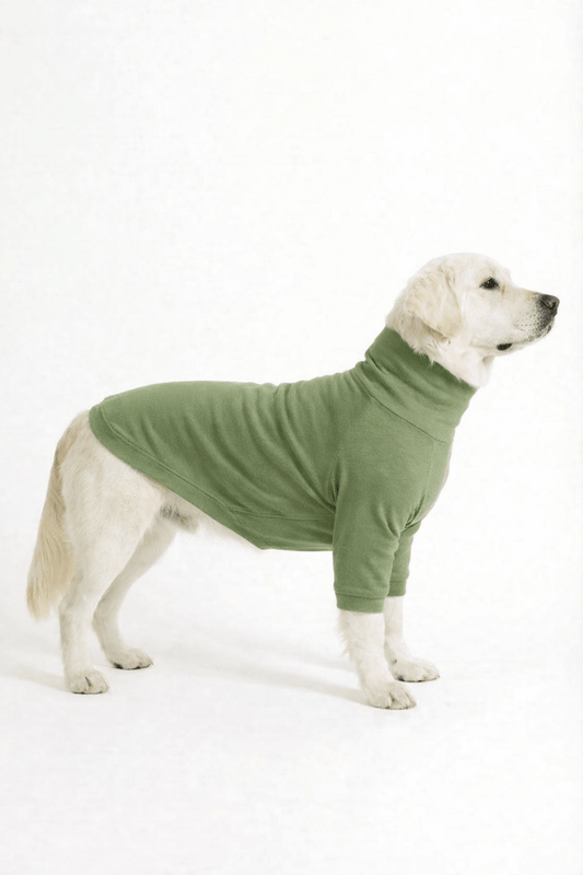 Meadow Green Long Neck T-shirt