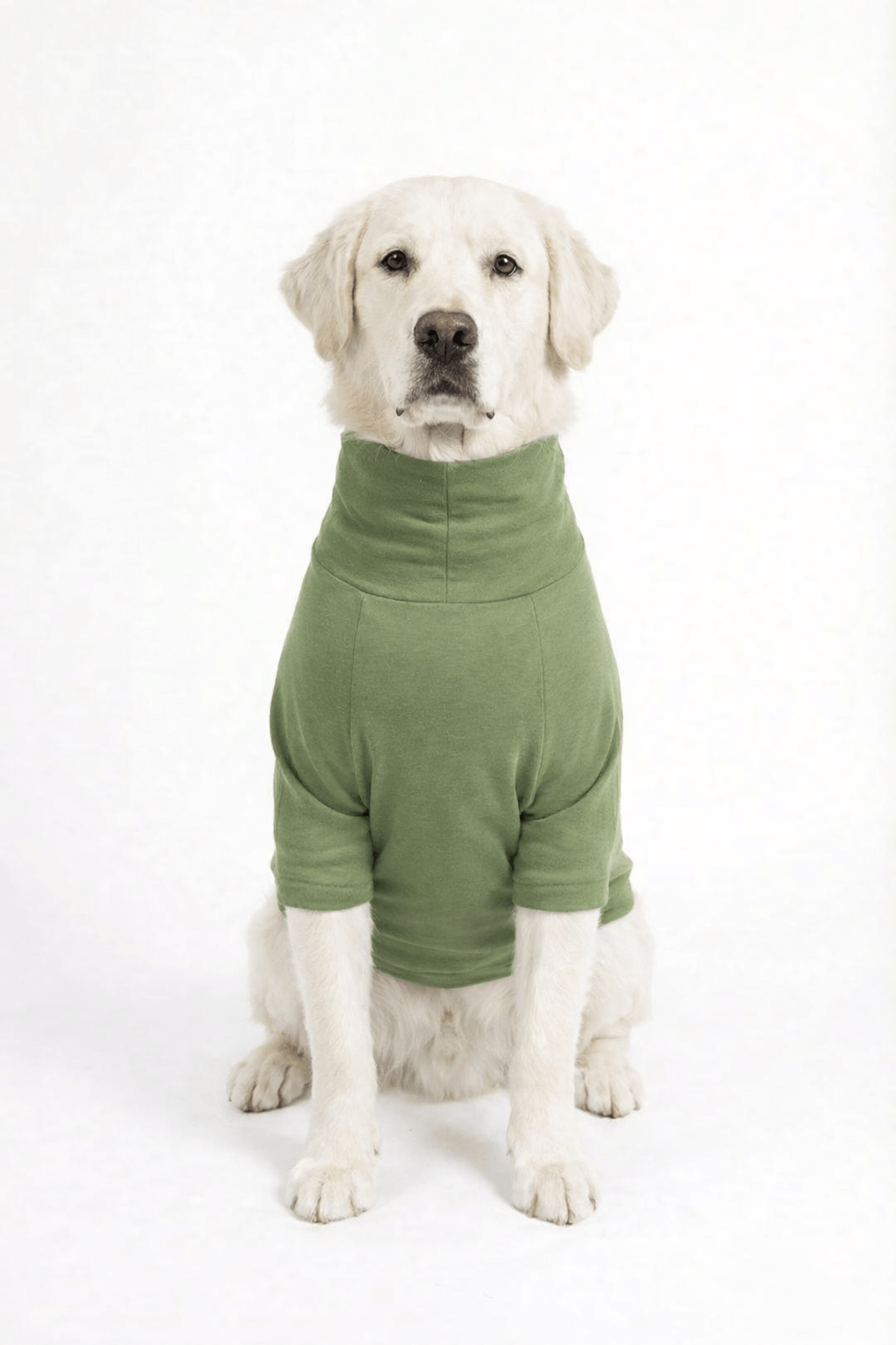 Meadow Green Long Neck T-shirt