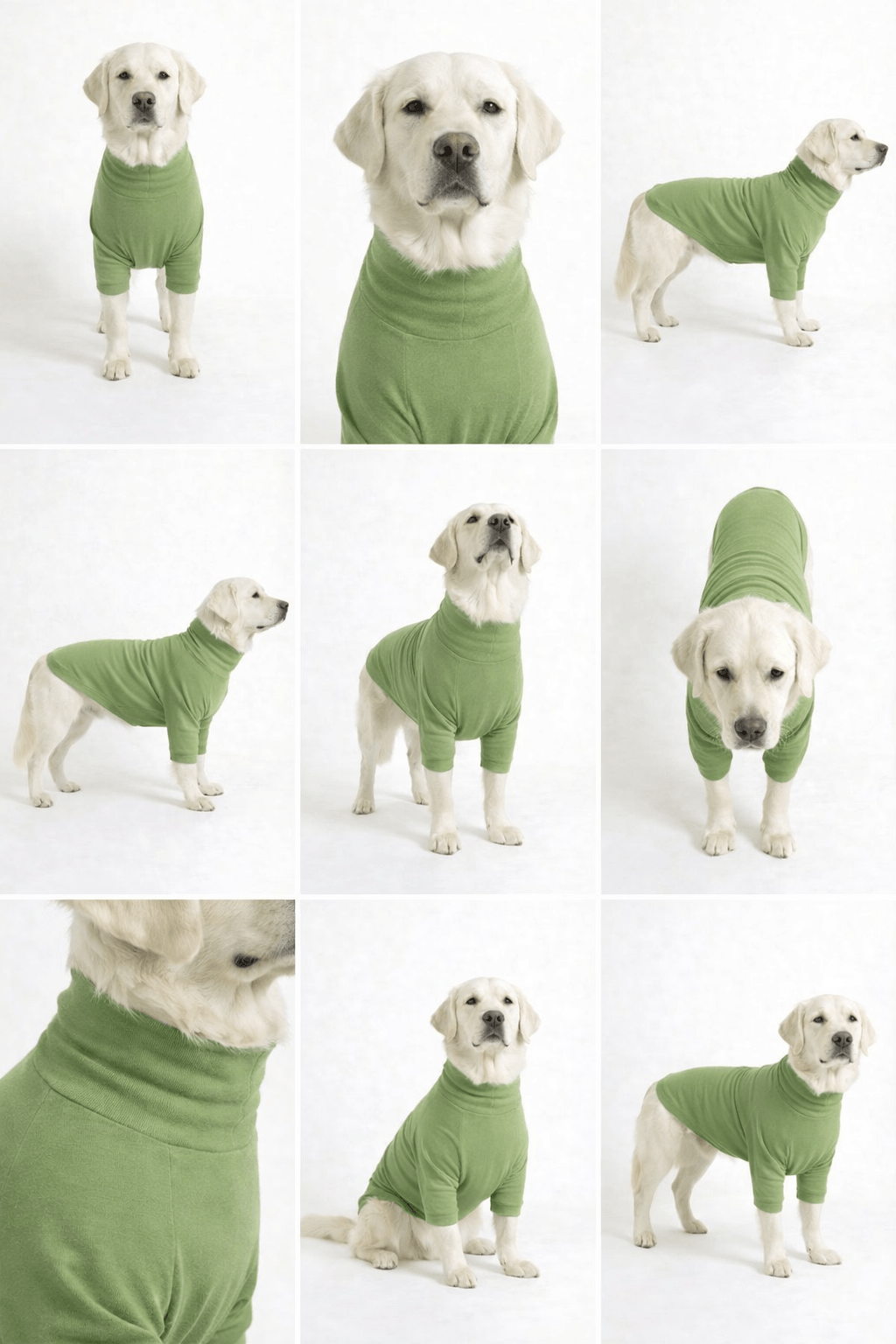 Meadow Green Long Neck T-shirt