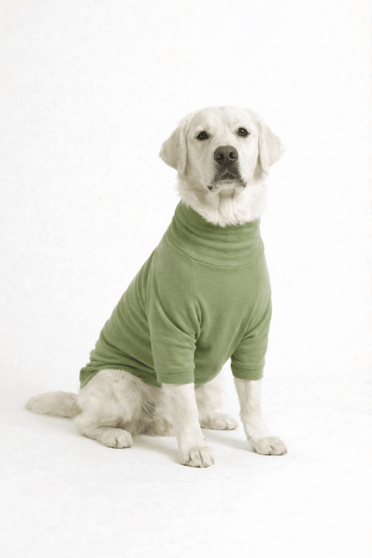 Meadow Green Long Neck T-shirt