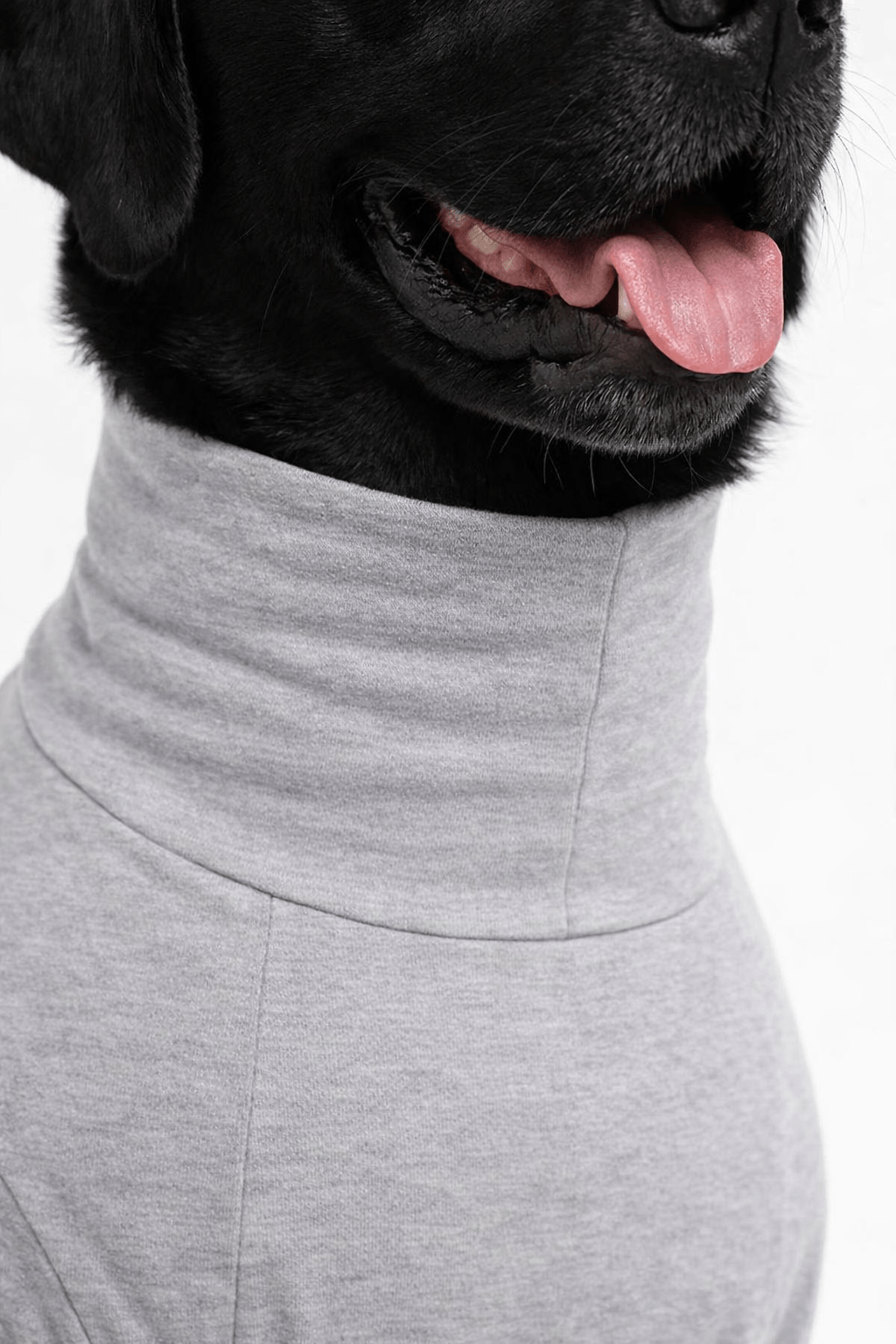Stone Grey Long Neck T-shirt