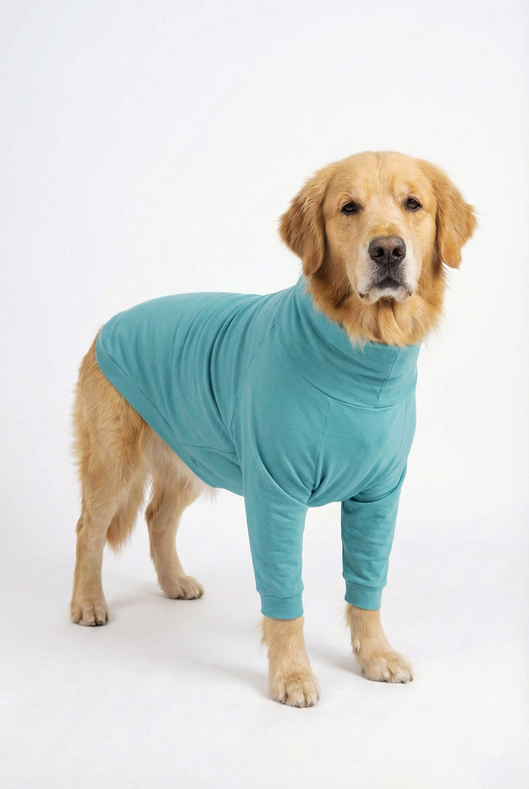 Icy Aqua Long Neck T-shirt for Dogs and Cats