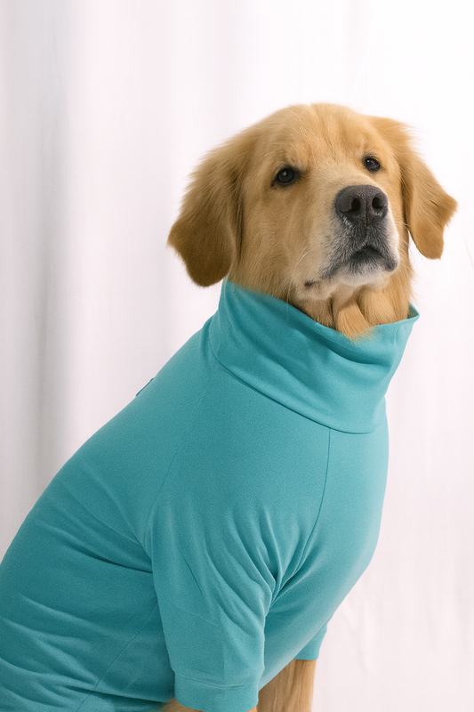 Icy Aqua Long Neck T-shirt for Dogs and Cats