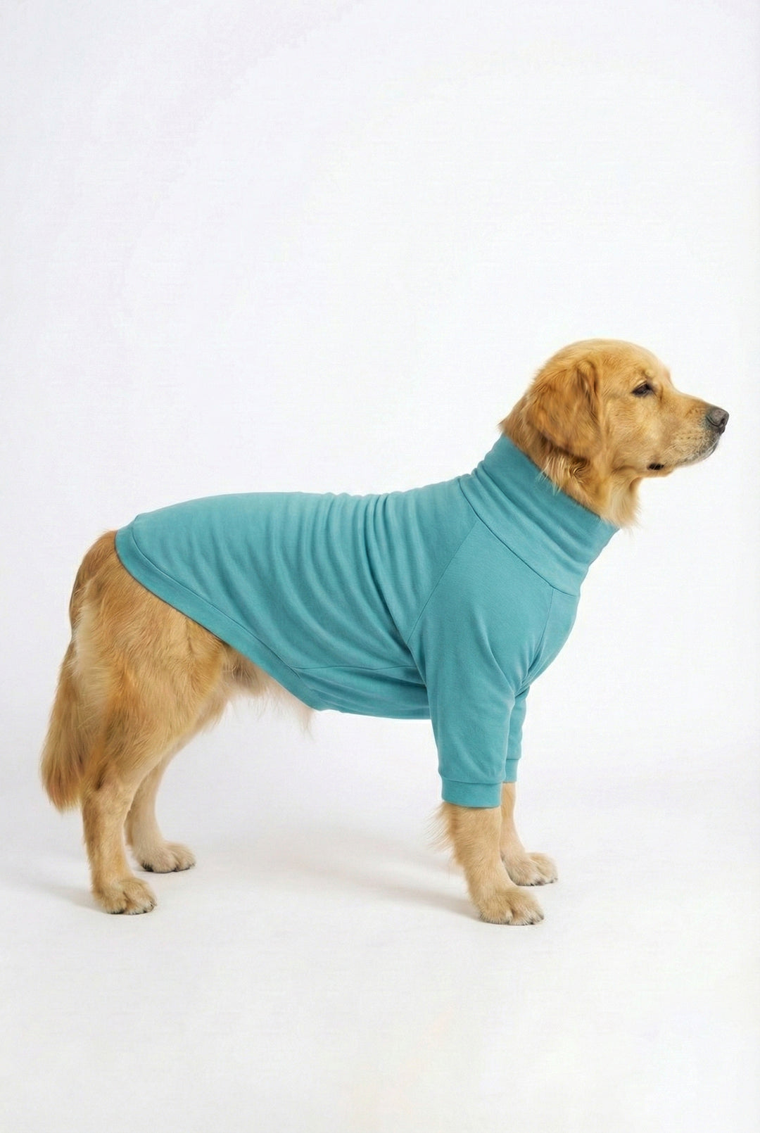 Icy Aqua Long Neck T-shirt for Dogs and Cats